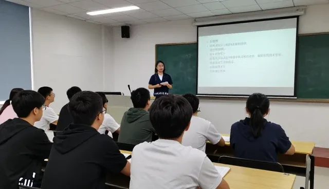 系统优化中性能提升与适用条件的深度分析